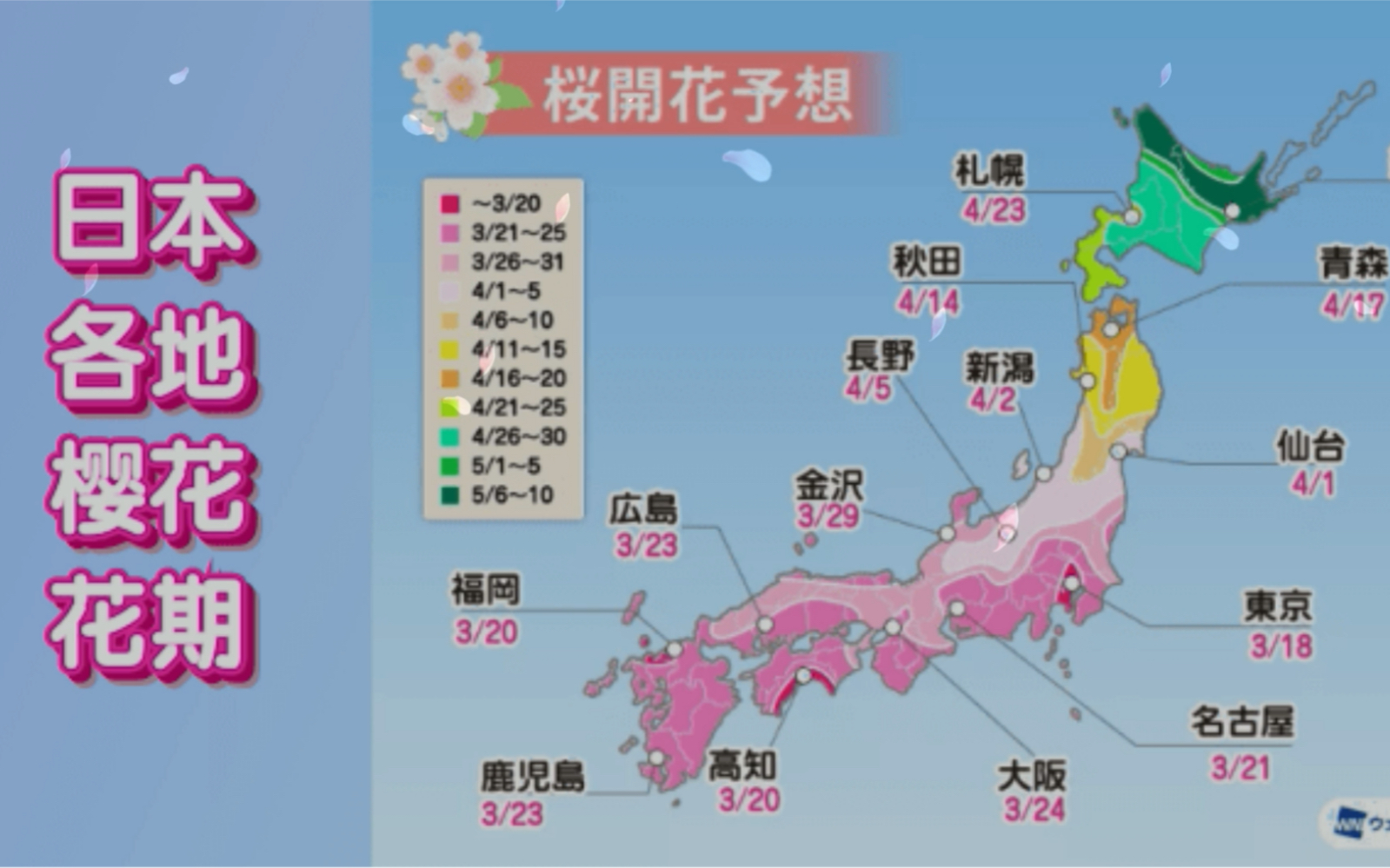 中国樱花pk日本樱花