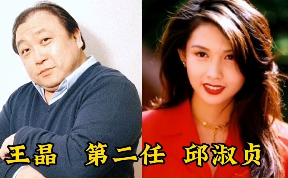 王晶的18任“晶女郎”,个个美貌与智慧并存,有没有你们喜欢的?哔哩哔哩bilibili