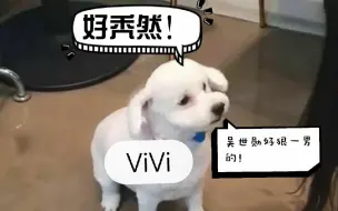 Descargar video: 吴世勋好狠一男的！原来我们ViVi真的是虚胖！