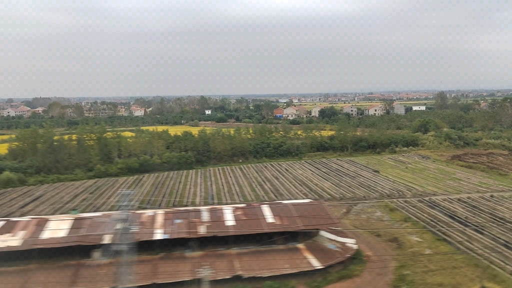 g1470次(南昌西站-上海站)本务上海动车段crh380bl3555高速通过黄梅