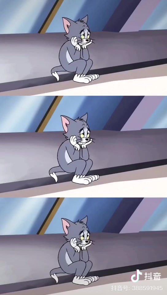 【抖音合集】猫和老鼠