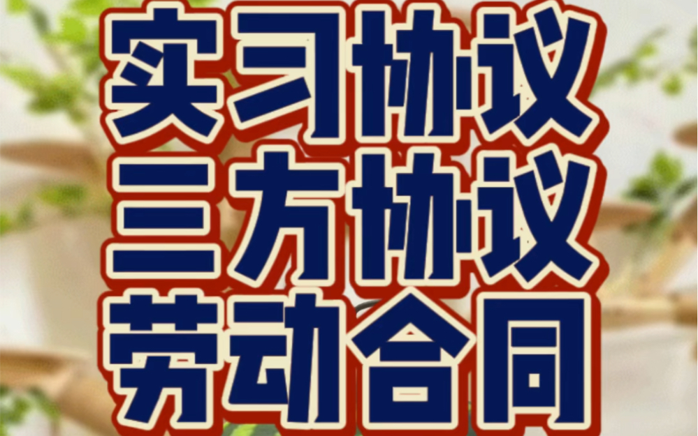 一条视频告诉你 实习协议 三方协议 劳动合同的区别哔哩哔哩bilibili