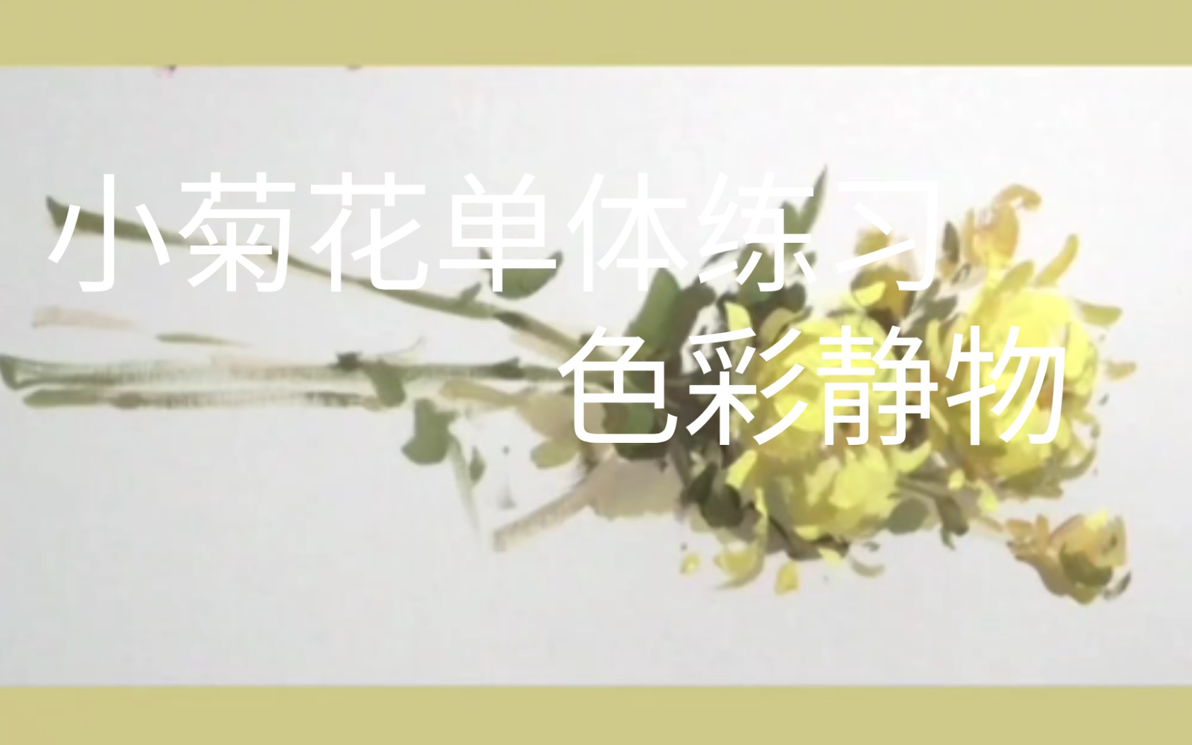 小菊花单体练习 色彩静物哔哩哔哩bilibili