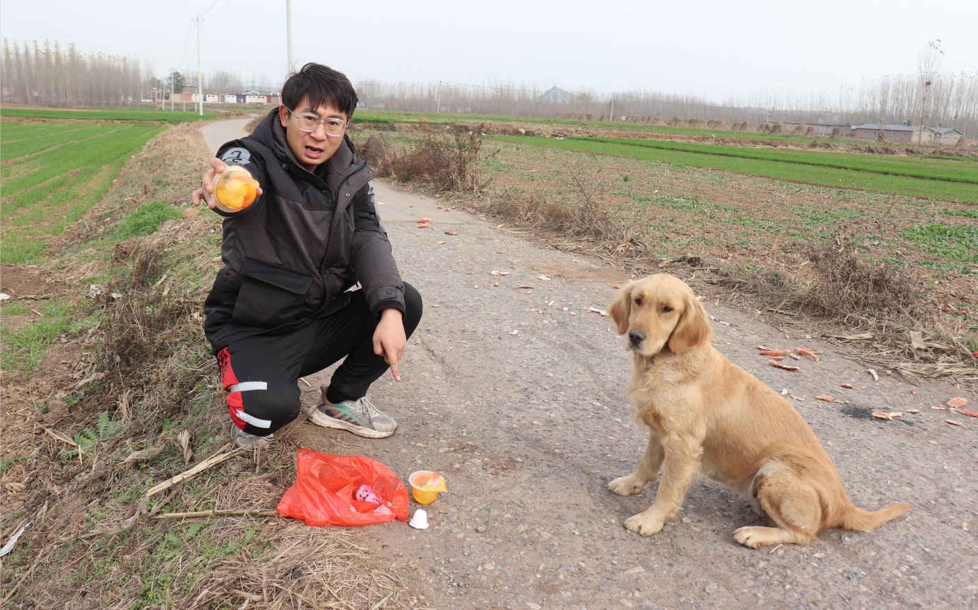 [图]金毛要吃路边扔的果冻，可小亮说这果冻有蹊跷不能吃，怎么回事？