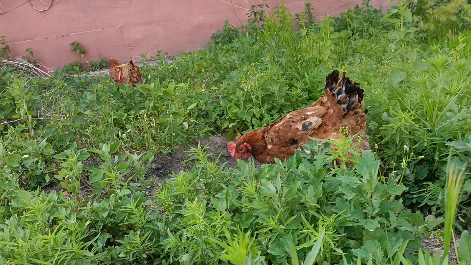 工部龙93_哔哩哔哩_bilibili