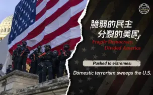 Download Video: 走向极端：国内恐怖主义席卷美国