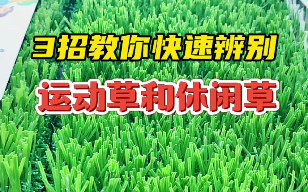 绿茵观察｜欧冠离中国200公里皇马的对手身价还没申花高