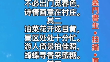 七绝ⷮŠ菜花黄三首作者/桑门书生其一房前屋后菜花黄,犄角旮旯随处香.不必出门觅春色,诗情画意在村庄.其二油菜花开炫目黄,其三视频翻看菜花黄,...