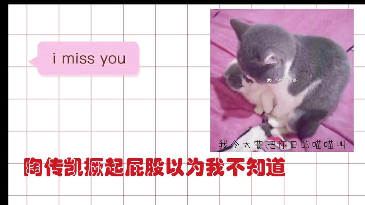 【无痕×初晨】无痕今天念陶传凯了吗