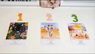 塔罗占卜 对象在别人面前是如何描述 评价我的包括 对我的印象 在他心中的形象 对我的感觉 而对方内心真实想法又是如何 Timeless 水逆说话超卡的 哔哩哔哩 Bilibili 塔罗占卜 对象在别人面前是如何描述 评价我的包括 对我的印象 在他心中的形象 对我的感觉 而对方内心真实想法又是如何 Timeless 水逆说话超卡的 哔哩哔哩 Bilibili