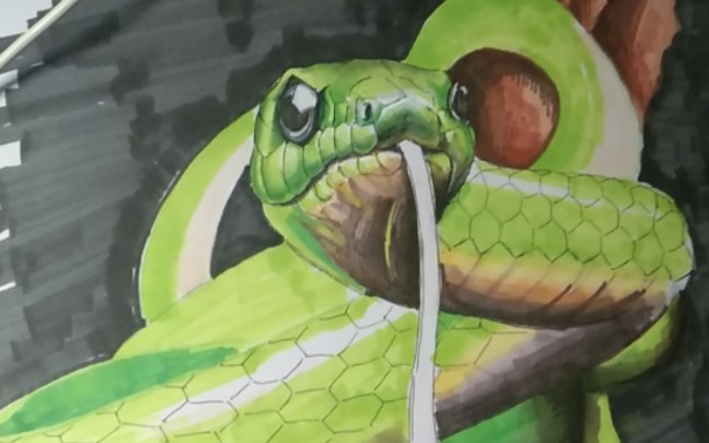 【马克笔动物】又画条蛇,其实挺简单的.就是起完型加一点细节