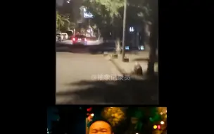 Скачать видео: 阿奔：三文鱼等等我！没有你我怎么活啊！