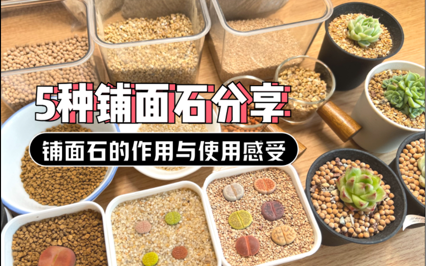 [图]5种铺面石分享-铺面石的作用与使用感受