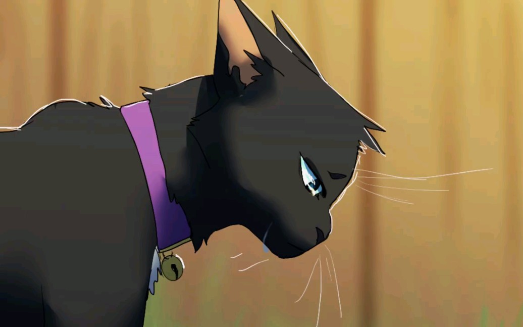 【猫武士】长鞭&火星 time machine- part 1