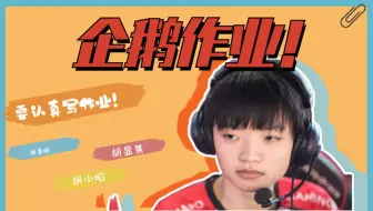 【iBoy】企鹅作业大合集