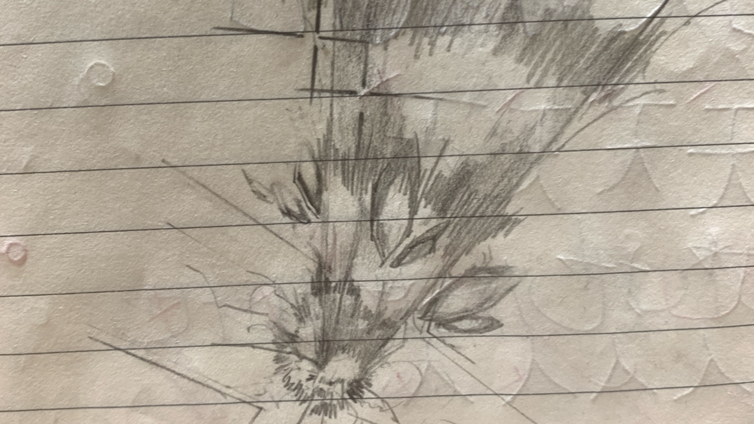 【白金内燃机】祁重置火更中!这么阴间的时间不可能有人看见的吧👀