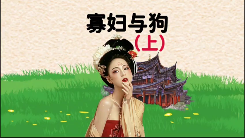 寡妇与狗之间发生什么事?哔哩哔哩bilibili