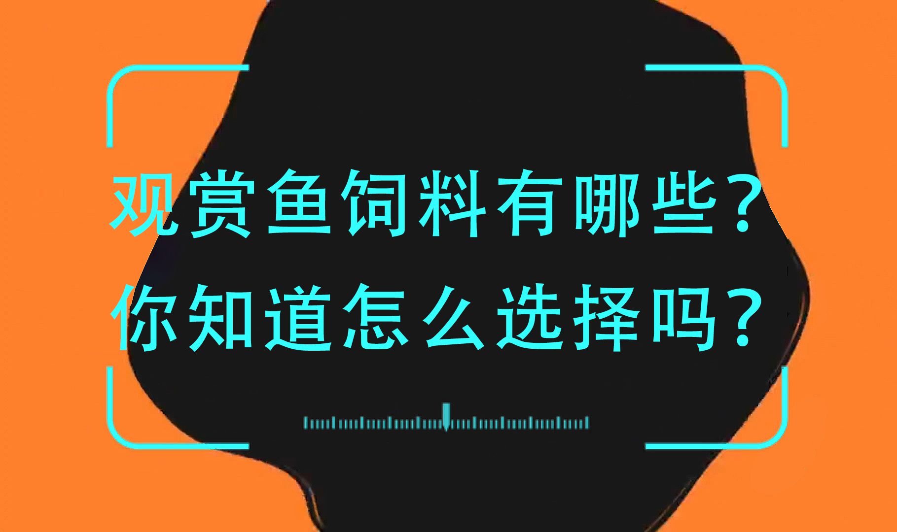 观赏鱼饲料有哪些?怎么选择你知道吗?什么是增红增黄蓝饲料?哔哩哔哩bilibili