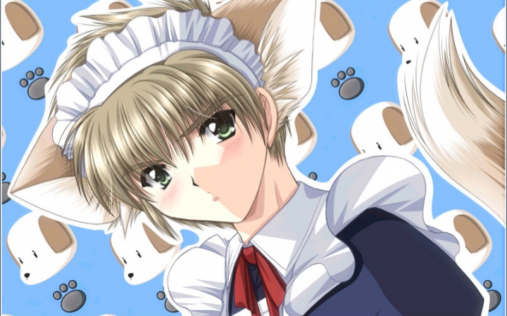 【腐向drama】 天使之羽