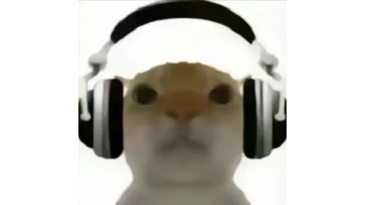 逢赌必赢 广西大师 老鼠战歌-破攻-默认收藏夹-哔哩哔哩视频