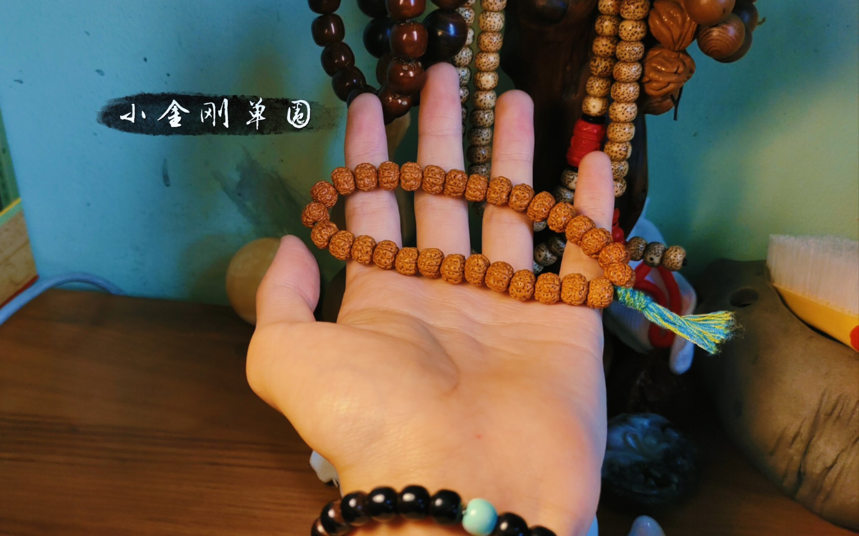 南瓜桩小金刚单圈一周啦