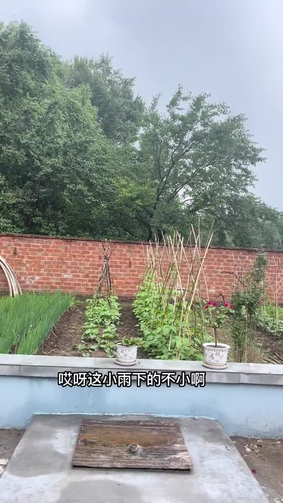 [图]生活的道路上总是荆棘和鲜花并存，加油宝子们