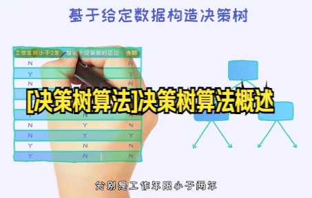 【python数据分析技巧】决策树举例[与决策树算法]决策树算法概述哔哩哔哩bilibili