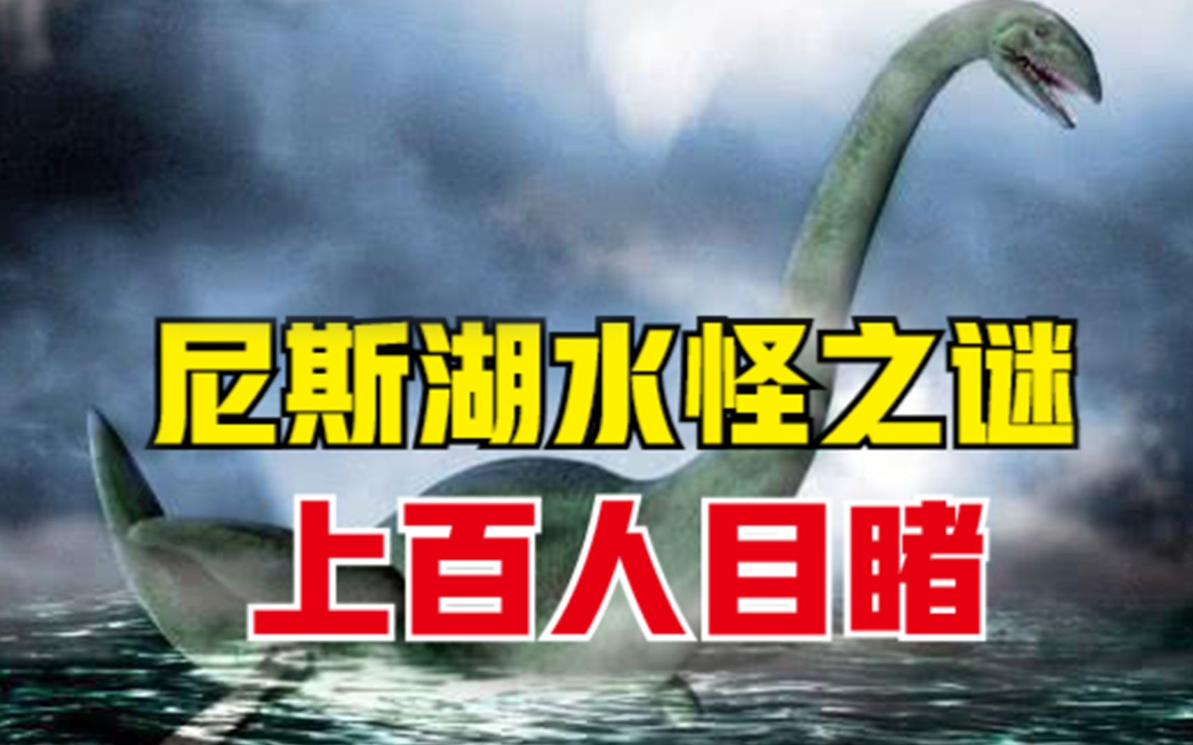 尼斯湖“水怪”真存在?被游客拍到清晰照片,真是恐龙后代?哔哩哔哩bilibili