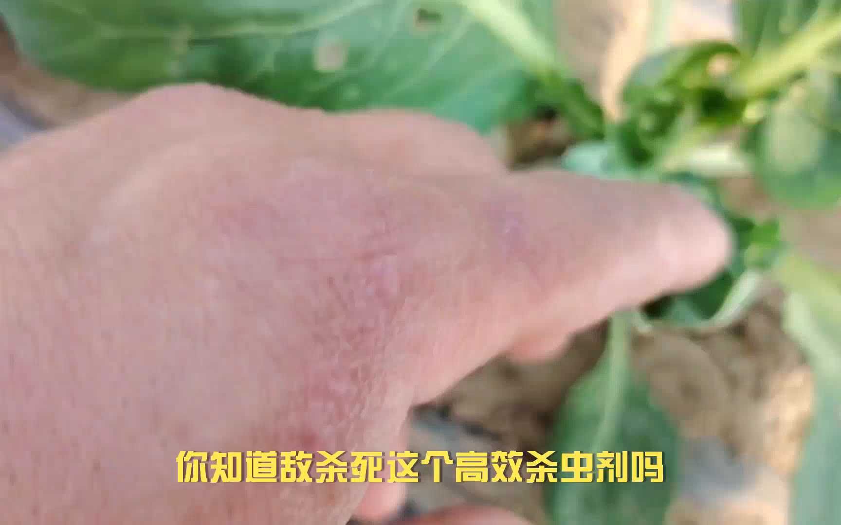 溴氰菊酯敌杀死能防治哪些害虫哔哩哔哩bilibili