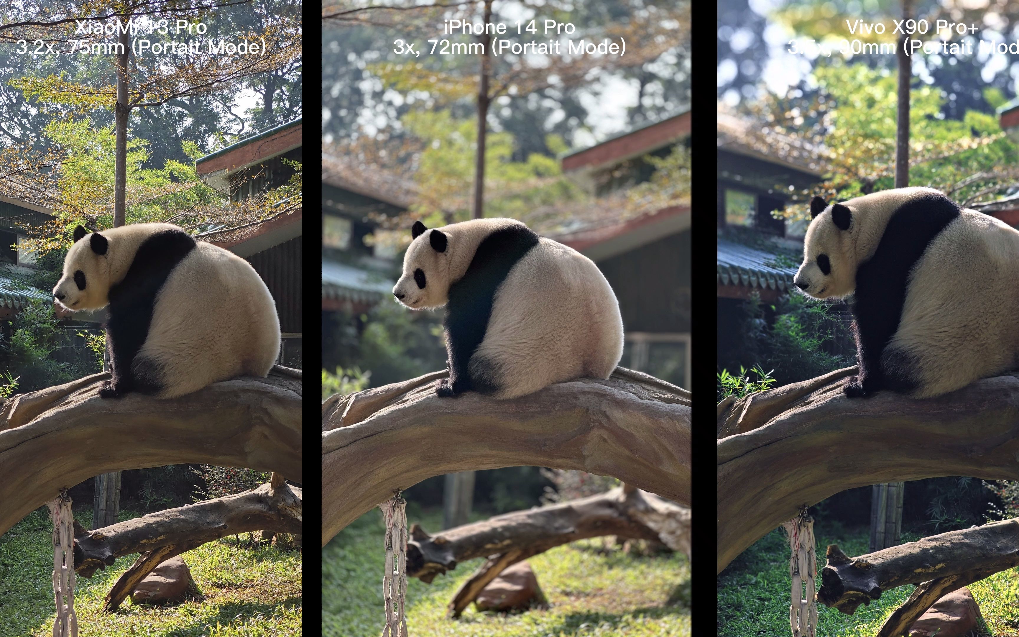 小米13 pro vs iphone 14 pro vs vivo x90 pro  业余摄影对比