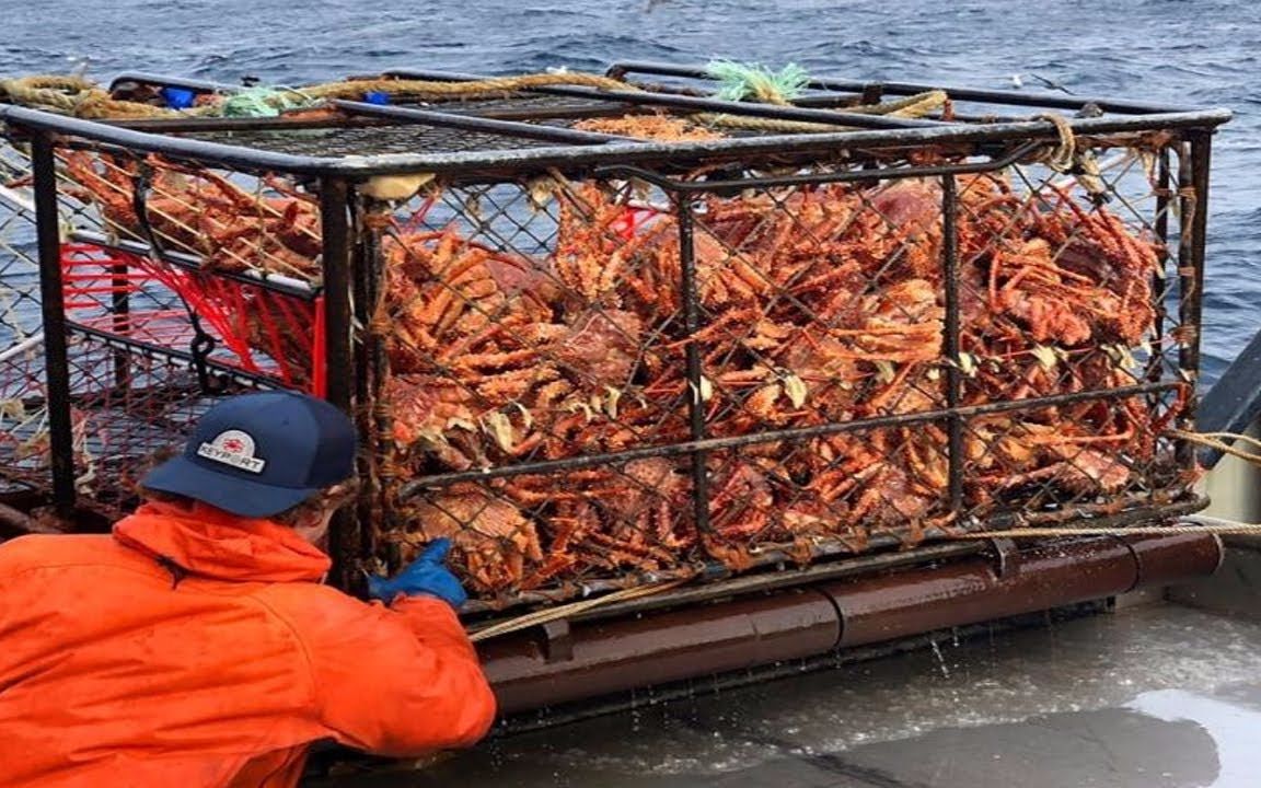 零下三十度捕捞帝王蟹实录,西伯利亚大型捕捞船,两月捕捞百万只