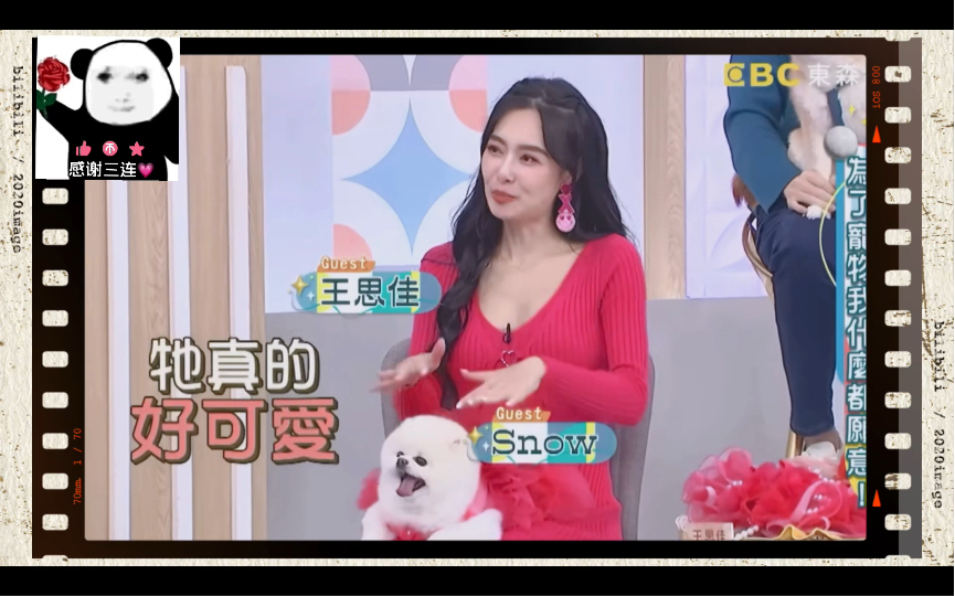 王思佳分享和爱犬snow的缘分,它是它的大女儿哔哩哔哩bilibili