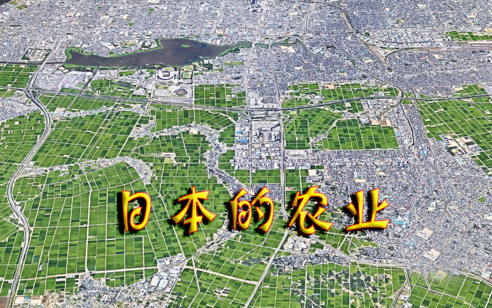 日本新潟市的农业高度发达看过第一米乡后感叹日本人是真厉害