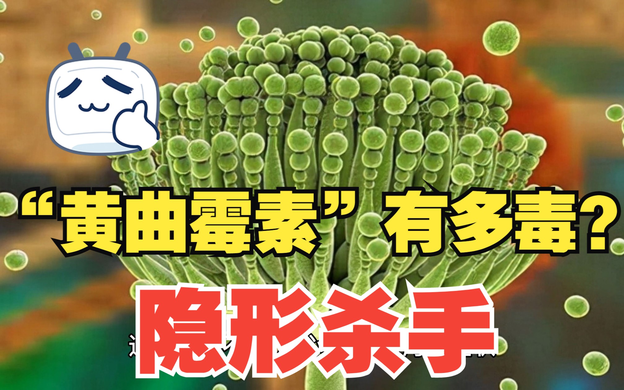 黄曲霉素,你不知道的隐形杀手!