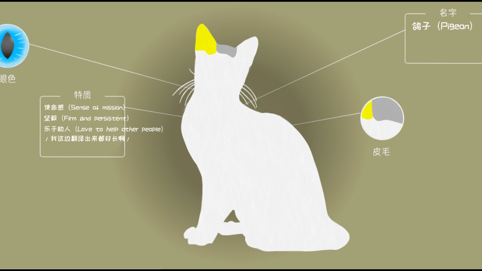 猫武士模板图片图片