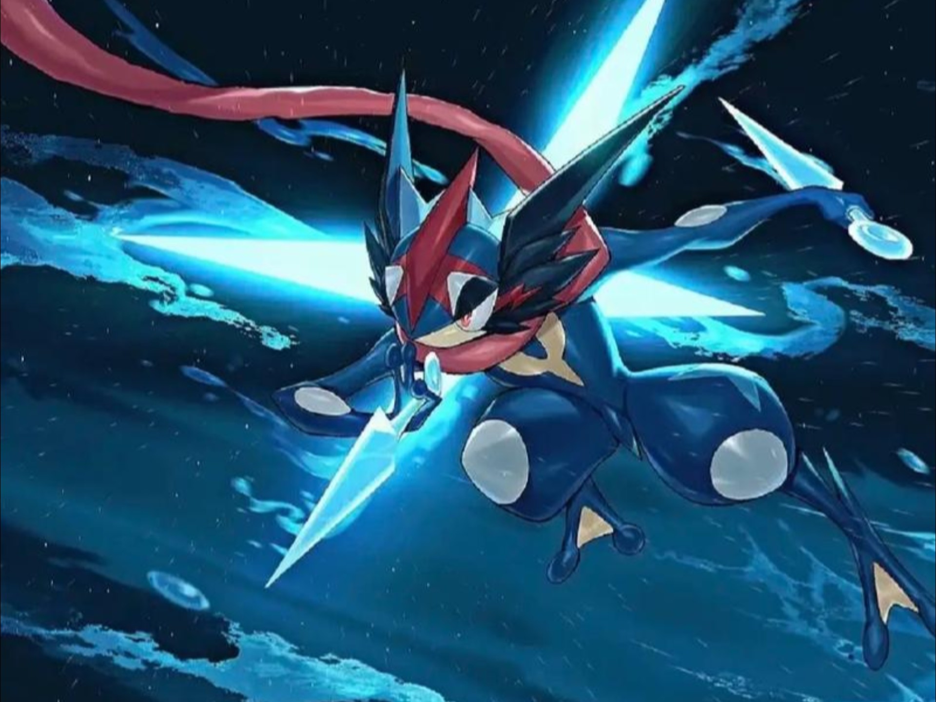 甲贺忍蛙,我们要一起走上登峰造极之路