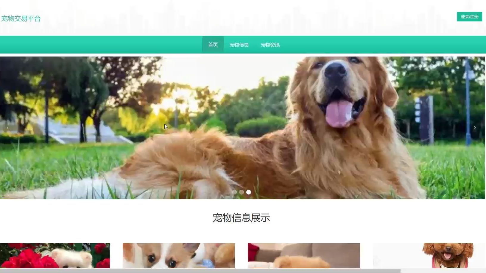 springboot宠物交易平台演示录像2024