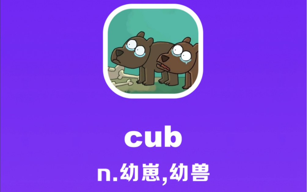 cub:幼崽,幼兽哔哩哔哩bilibili