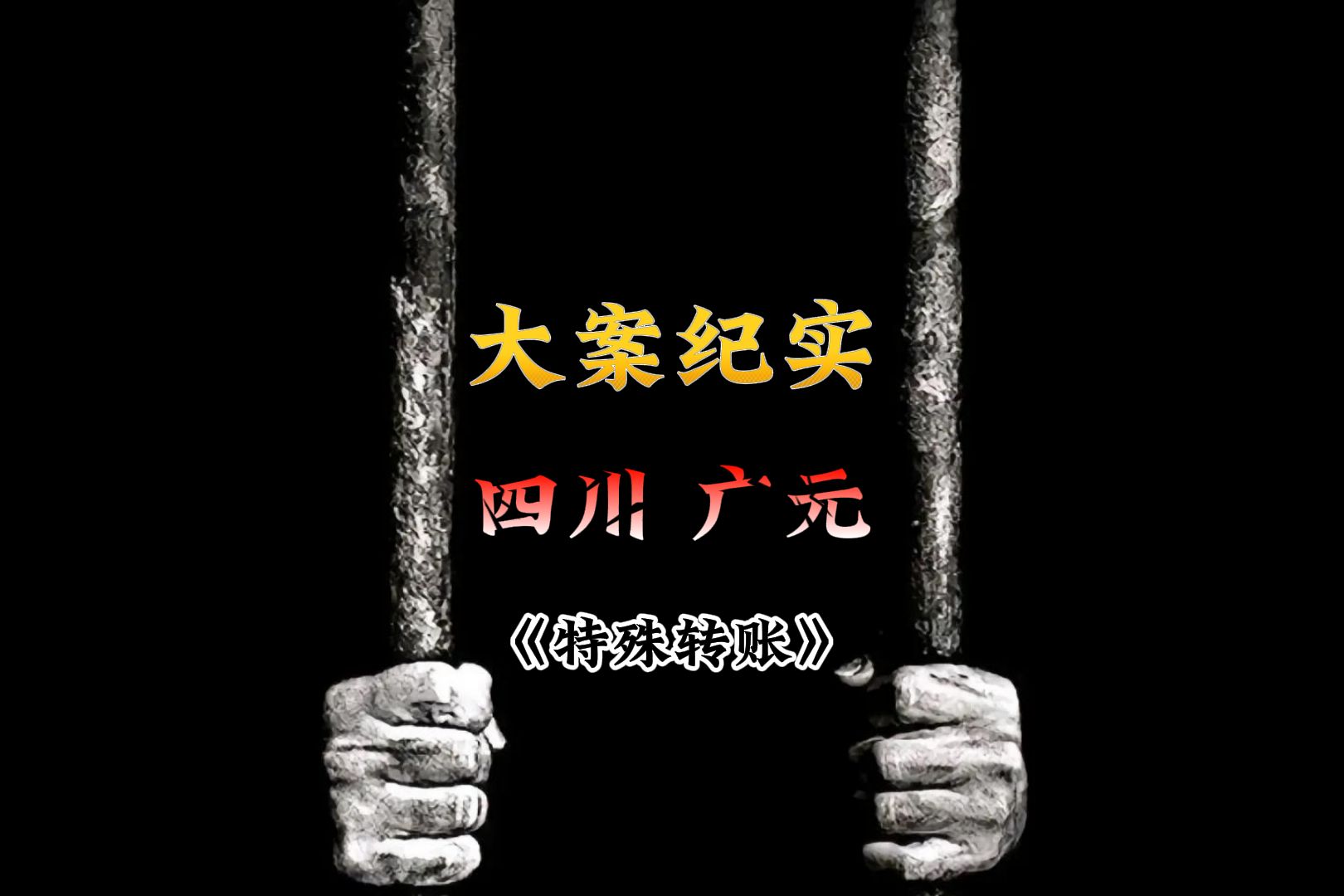 四川 广元《特殊转账》 #案件故事解说 #真实案件记录 #大案纪实