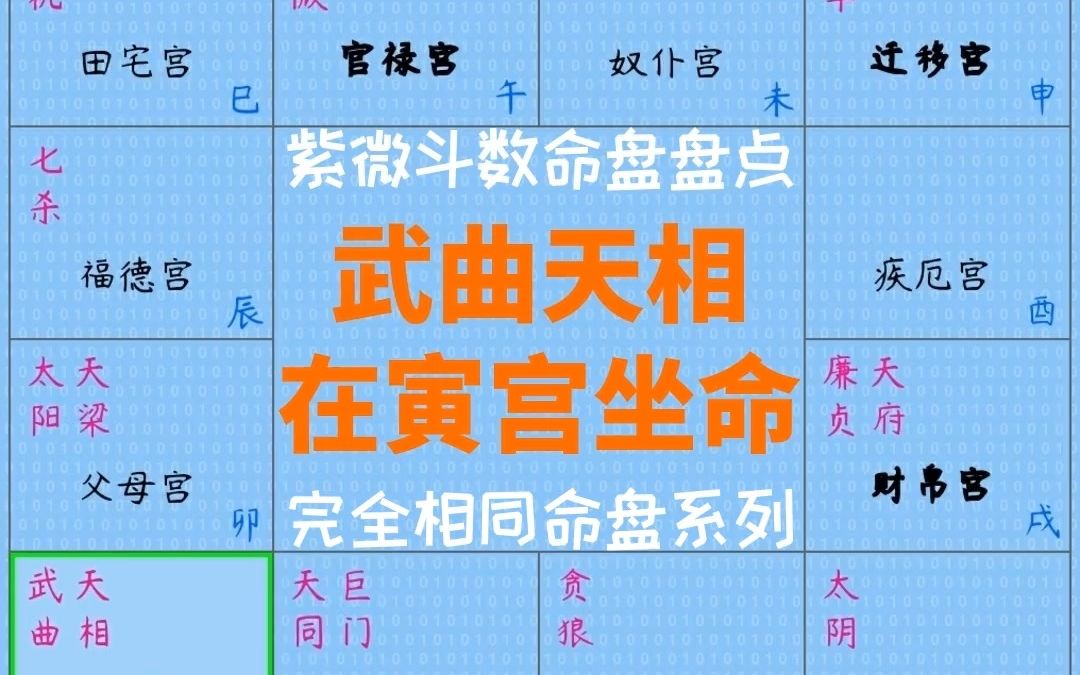 武曲天相在寅宫坐命(紫微斗数完全相同命盘盘点系列)哔哩哔哩bilibili