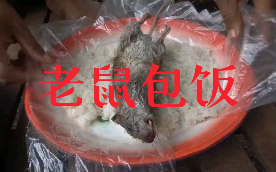 世界美食越南独秀一枝花,一起吃老鼠包饭么洛?