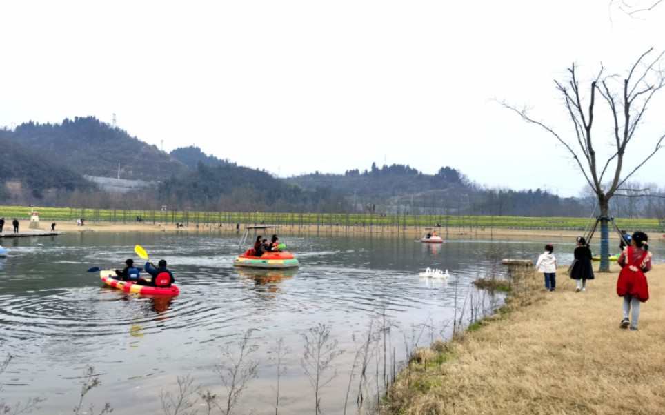 湖北三峡宜昌点军卷桥河湿地公园 导航:卷桥河湿地公园哔哩哔哩bilibili