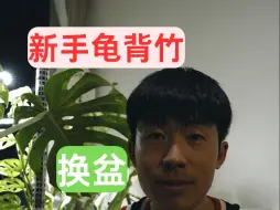 Tải video: 新手龟背竹换盆不完全指南