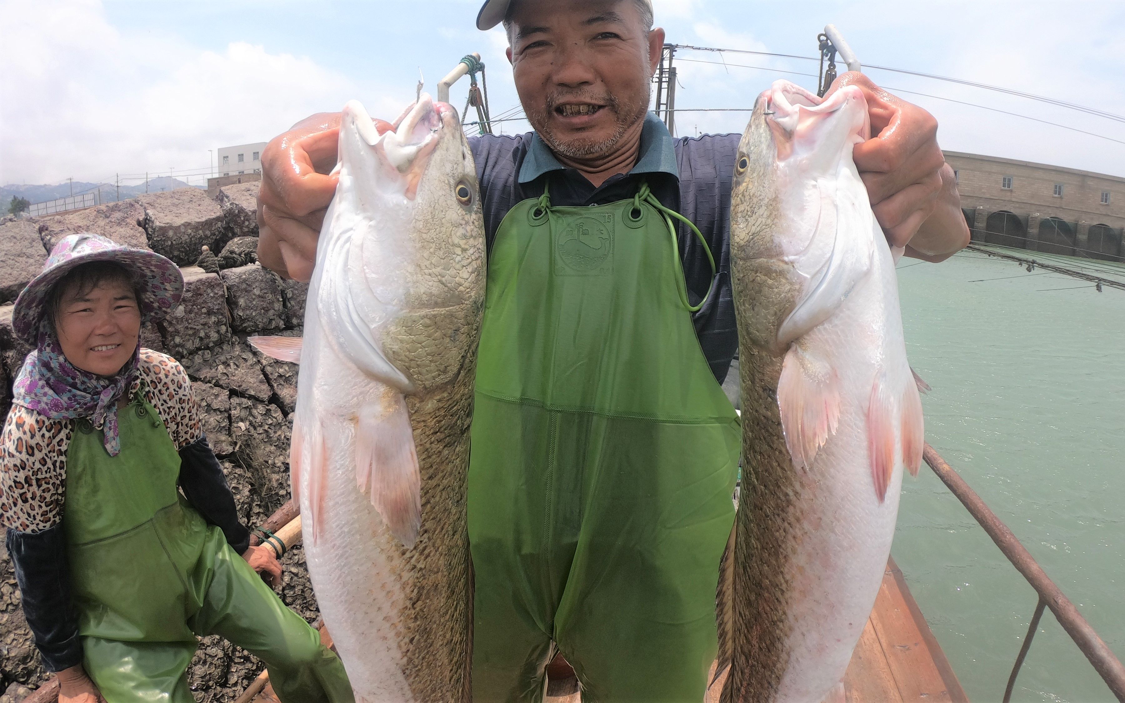 泰叔夫妇赶海收排钩抓的都是大货一条能卖两百多运气太好了