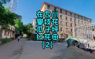 Descargar video: 在四川攀枝花瓜子坪红花田（2）