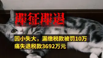 因小失大，漏缴税款被罚10万，痛失退税款3692万元