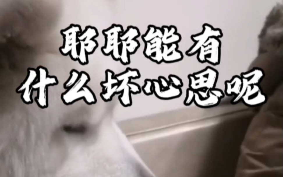 《耶耶能有什么坏心眼子呢》