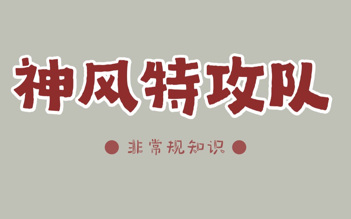 怕死的飞行员佐佐木友次,八次自杀式攻击都还幸存哔哩哔哩bilibili