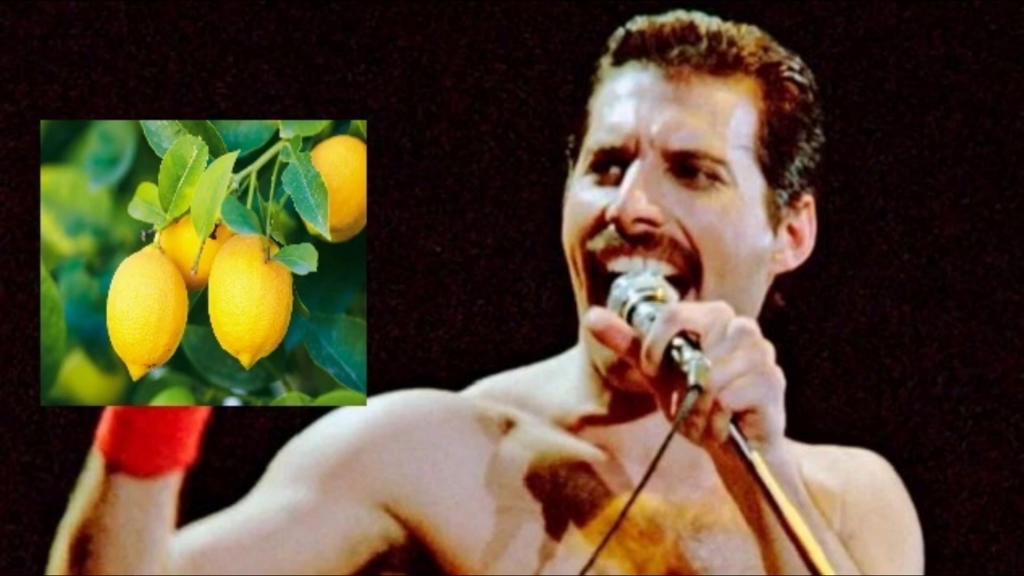 [图]Freddie Mercury - Lemon Tree (AI Cover)