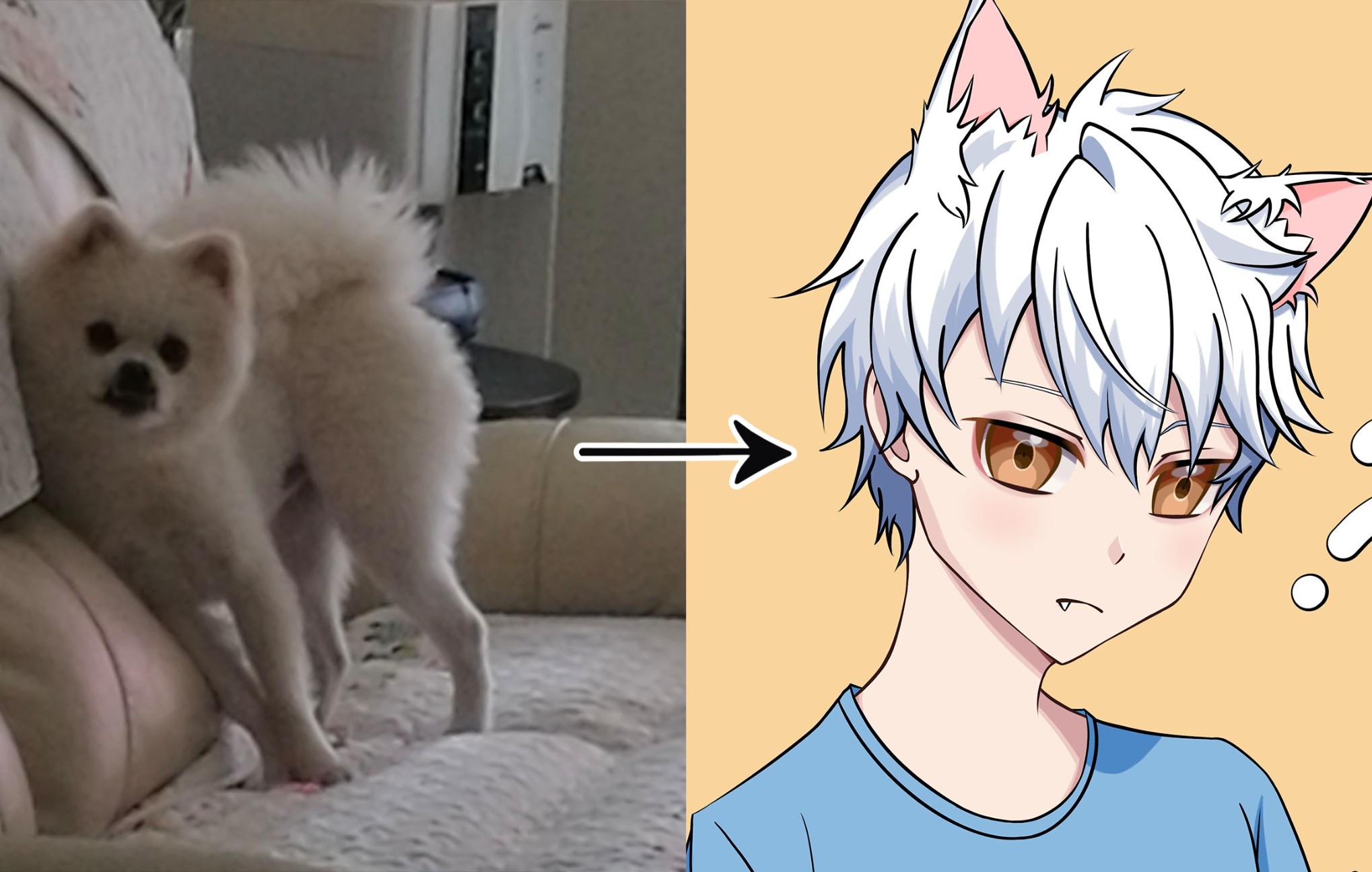 【小哞/procreate绘画过程】我家傻狗变成了二次元小男孩?